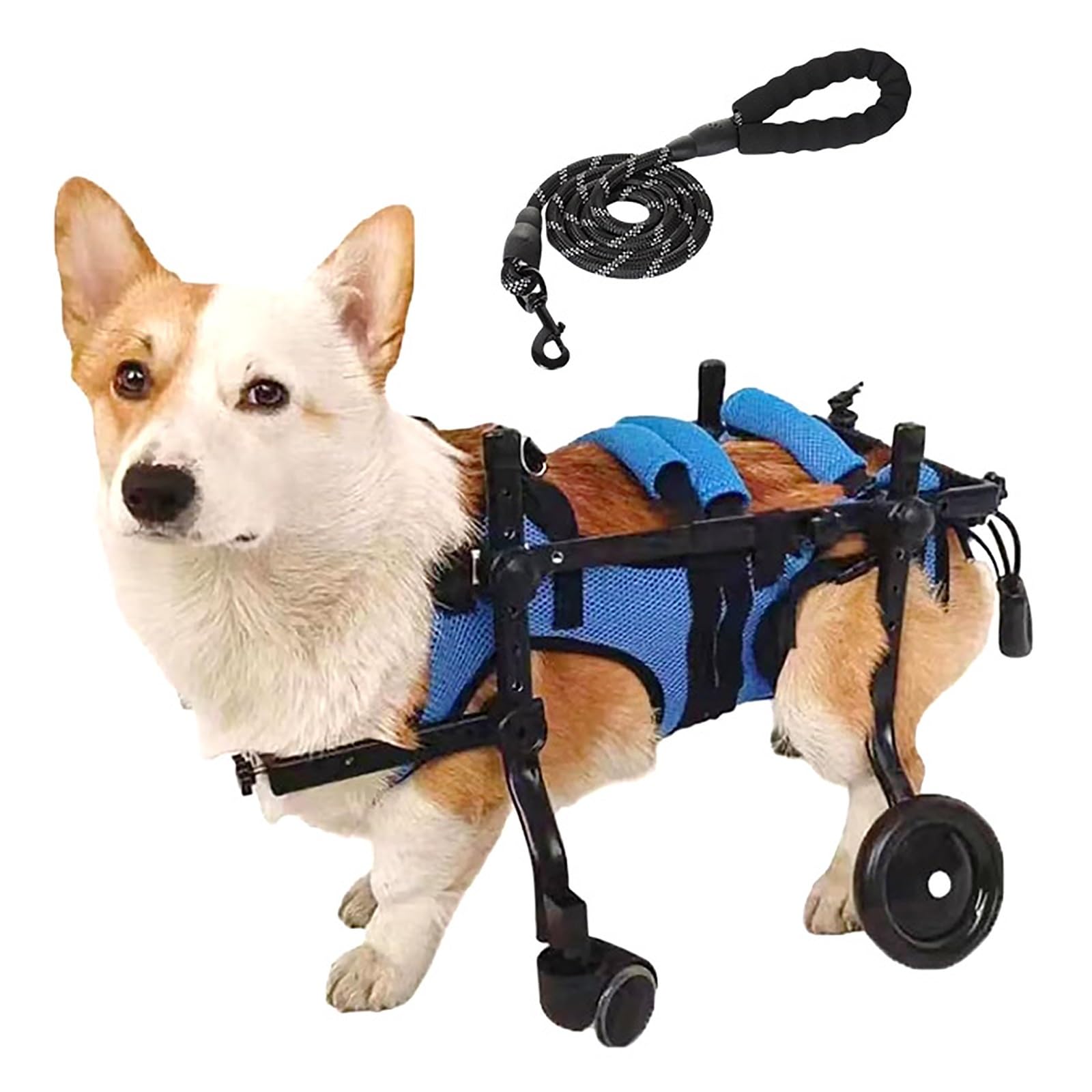 Amazon.co.jp: 犬用車椅子 小型犬用車椅子 4輪 フルサポート アルミ製